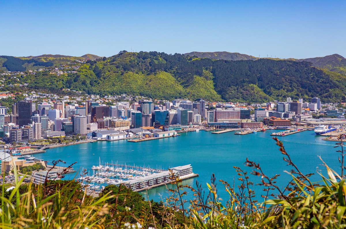 Wellington City Harbor